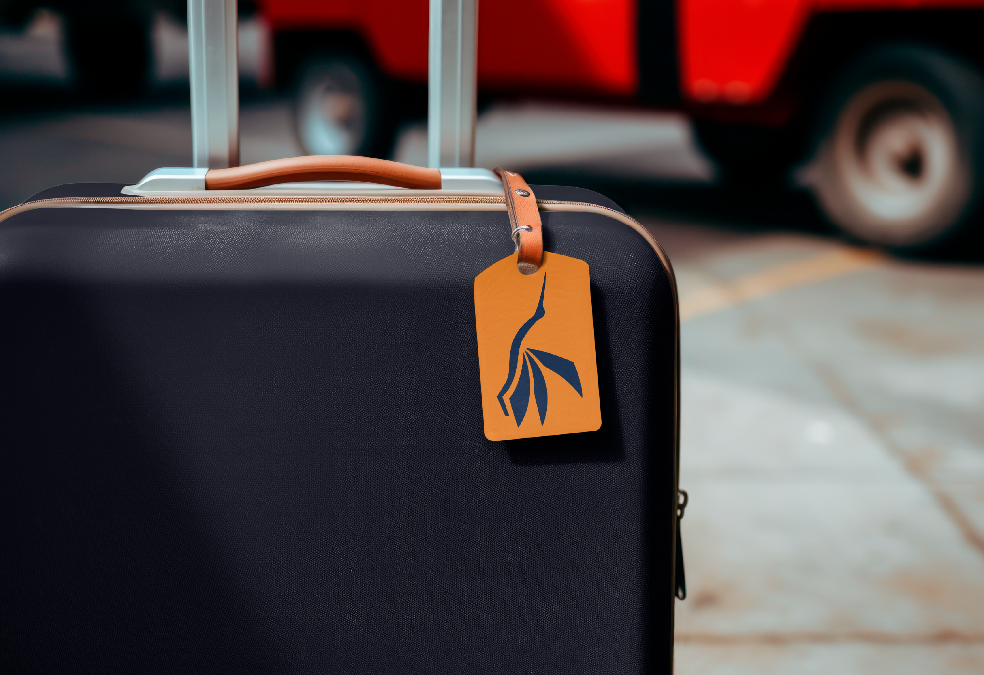 Animal to Logo - Image 5