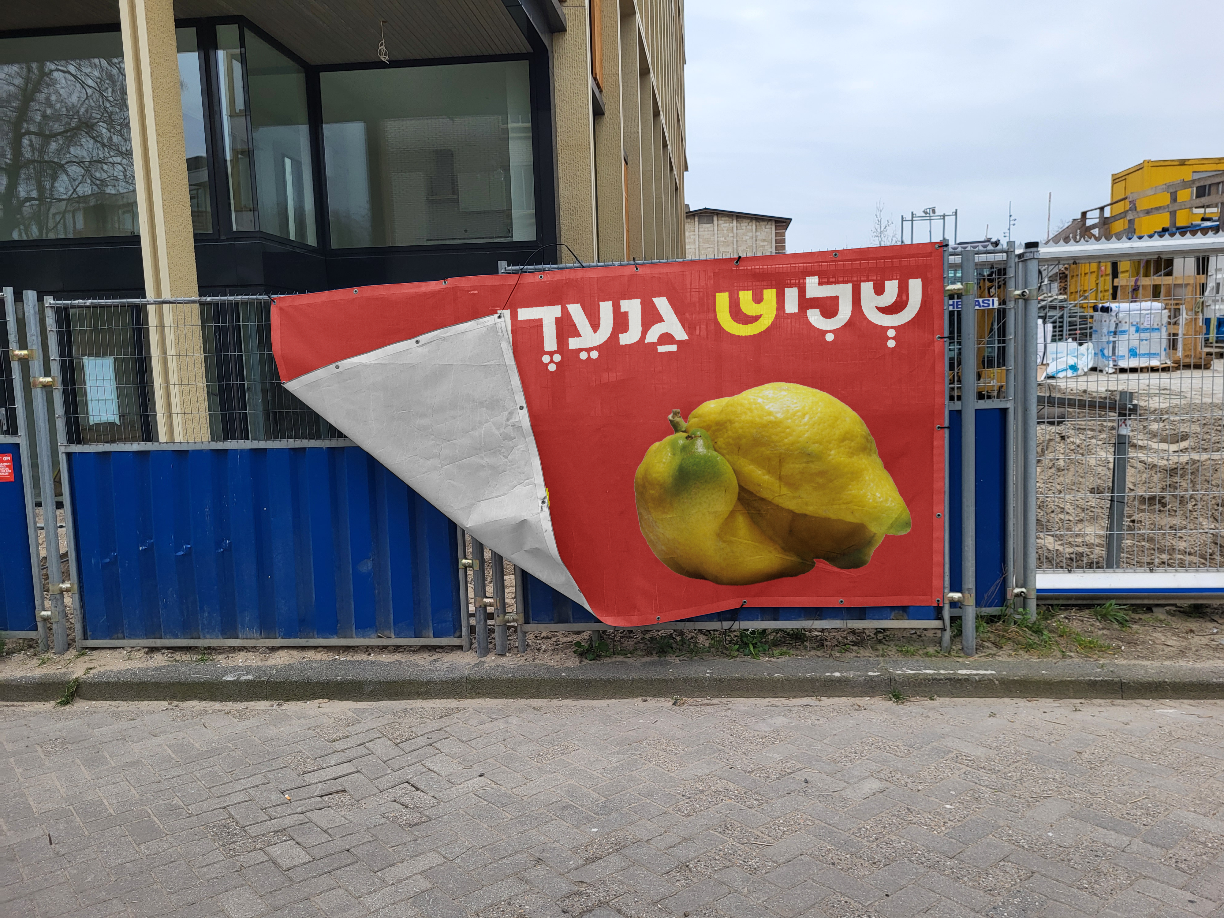 The Misfit Market — image 3